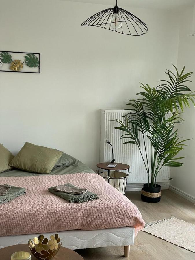 Studio T A 5Mn Euro Airport Avec Terrasse Saint-Louis  Eksteriør billede
