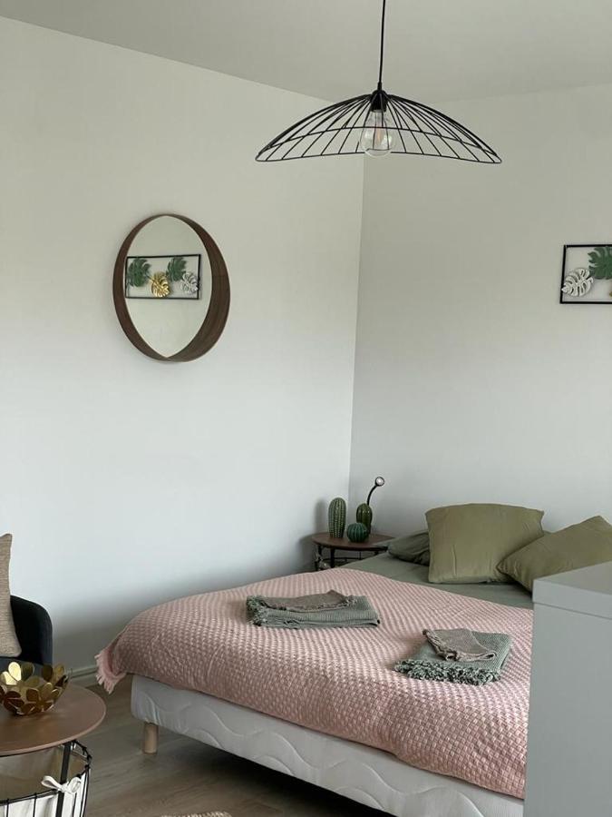 Studio T A 5Mn Euro Airport Avec Terrasse Saint-Louis  Eksteriør billede