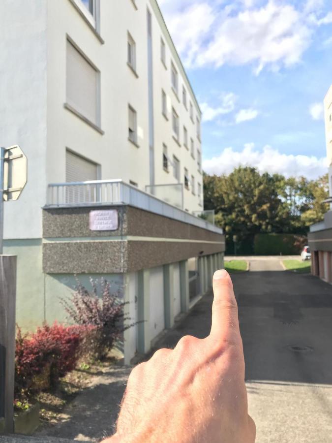 Studio T A 5Mn Euro Airport Avec Terrasse Saint-Louis  Eksteriør billede
